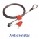 Antidiefstal