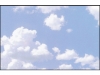 Visitekaartjes 3C 200g wolken 100 stuks