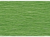 CREPEPAPIER HAZA 250X50CM NR43 LICHTGROEN