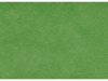 ZIJDEVLOEIPAPIER HAZA 18G 50X70CM LICHTGROEN