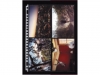 FOTOTAS MULTO 23R 10X15CM 4VAK 0.12MM SAFFIER