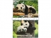 Tekenblok Papyrus A4 panda