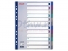 Tabbladen Esselte A4 11R PP 12-delig extra breed