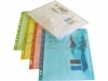 Enveloptas HF2 A4 ringbandpocket wit