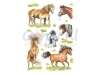 Etiket Herma 3307 getekende paarden 18stuks